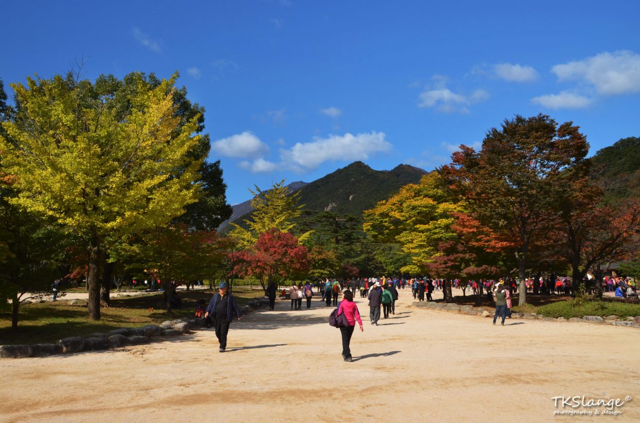 Autumn colors at the park entrance.