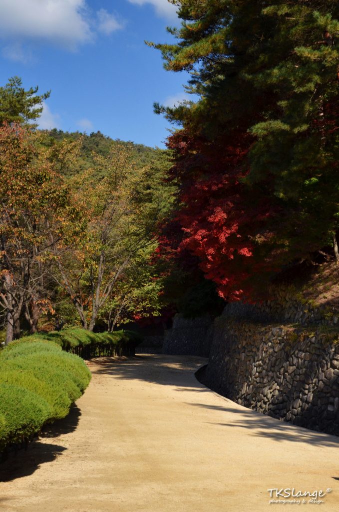 The path to Dosan Seowon with autumn colours.