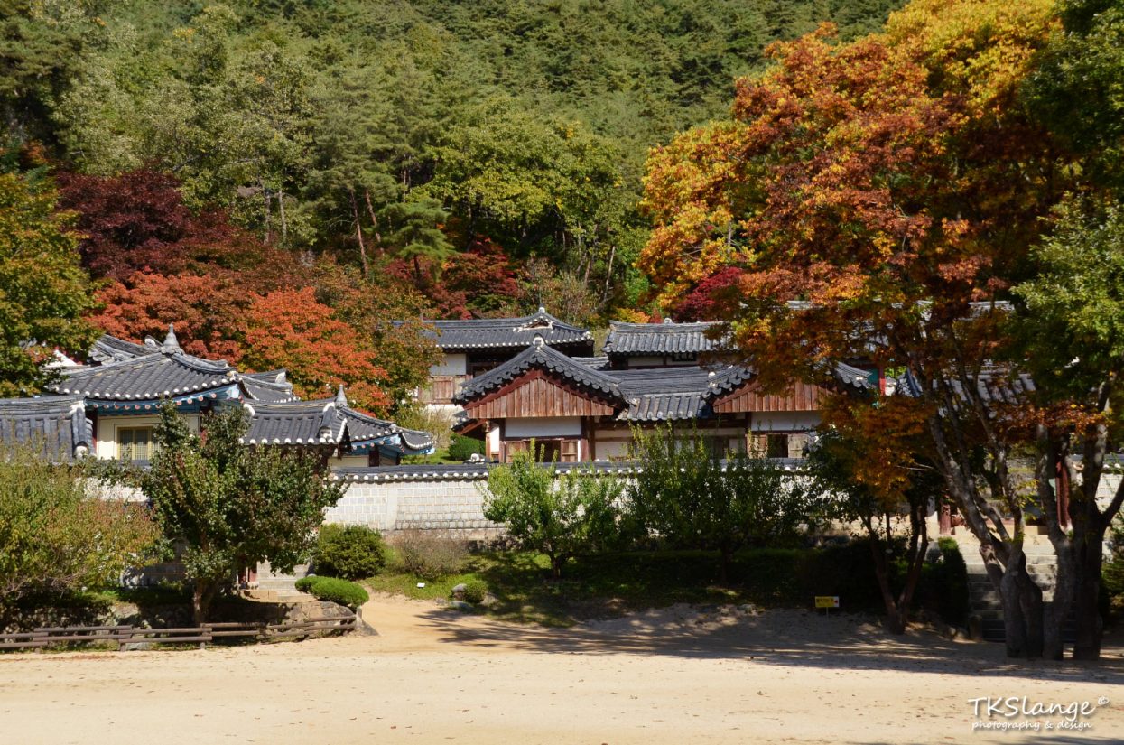Dosan Seowon lies between mountains and dense forests.