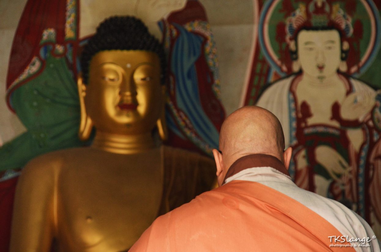 A munk says his prayer to the golden Buddha.