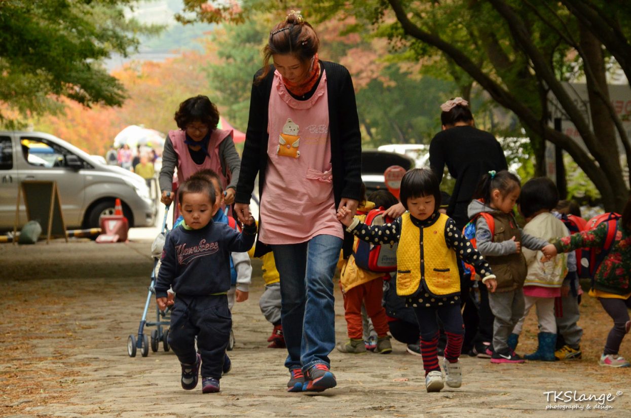 The kindergarten is going for a hike in the forest next to Bulguksa Temple.